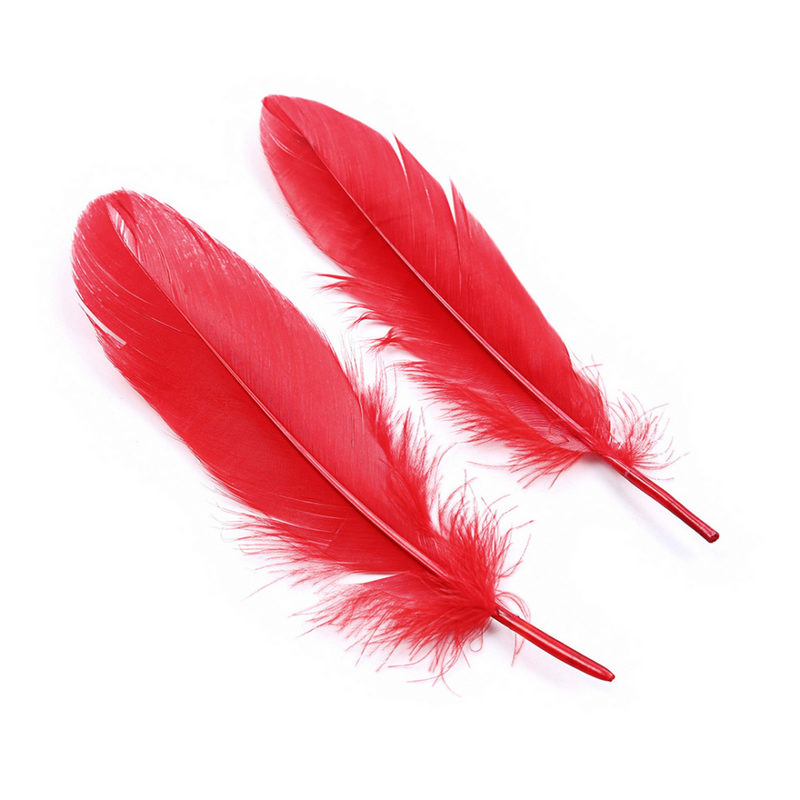 Rêve de l'Amant - Kit de Bondage de 4 Pièces pour Débutants - Rouge