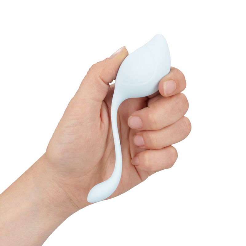 Kit de Kegel à tige pelvienne - Multicolore