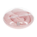 Daydream - Vibrateur G-Spot Compact avec Télécommande - Rose