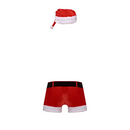 Costume de St Dick - L/XL