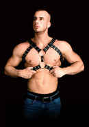 Andres - Harnais Masculin Maître