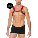 Harnais en cuir pour Bulldog avec boucles - L/XL