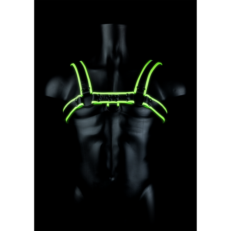 Harnais pour Bulldog - Brille dans le Noir - L/XL