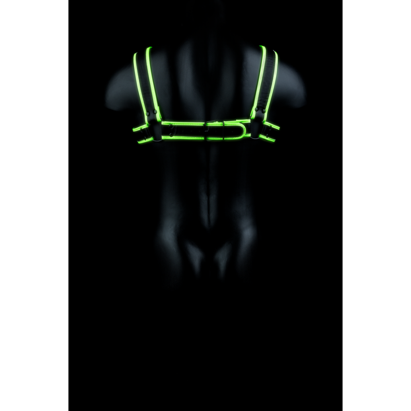 Harnais pour Bulldog - Brille dans le Noir - L/XL