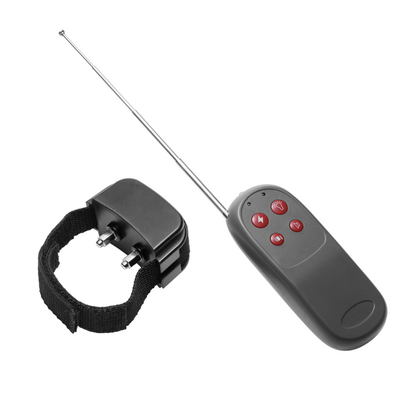 Cock Shock - Cockring de Stimulation Électrique avec Télécommande