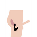 Stimulateur prostatique en silicone + télécommande avec 10 vitesses