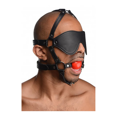 ST Blindfold Harness with Ball Gag