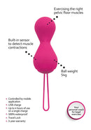 Geisha Balls 2 - Vibrating Geisha Balls