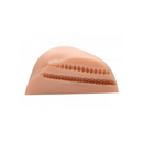 Masturbateur Vagina et Fesses Doggy Style