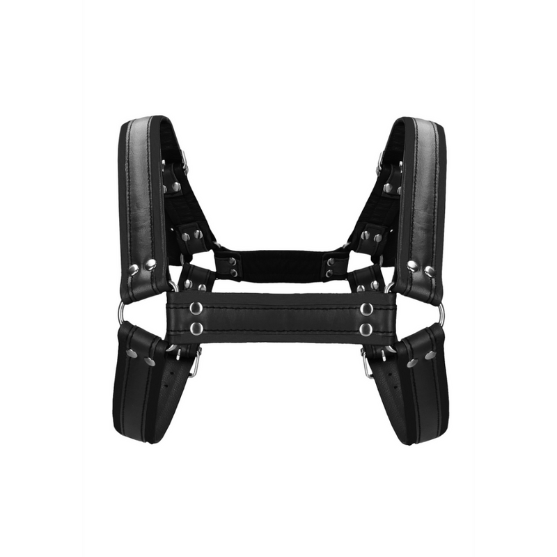 Harnais en cuir pour bulldog avec boucles - S/M