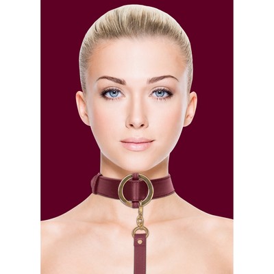 Luxurious Collar with Leash