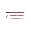 Collier Luxueux avec Laisse