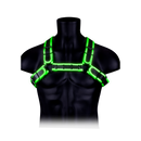 Harnais Bulldog avec boucle - Brillant dans le noir - L/XL