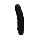 Perfect Pleasure - Vibrateur Multivitesse - 9 / 22 cm